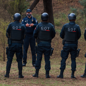 Curso Virtual Servicio de Policía